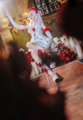 女士的法则 电视剧_BD手机免费观看完整